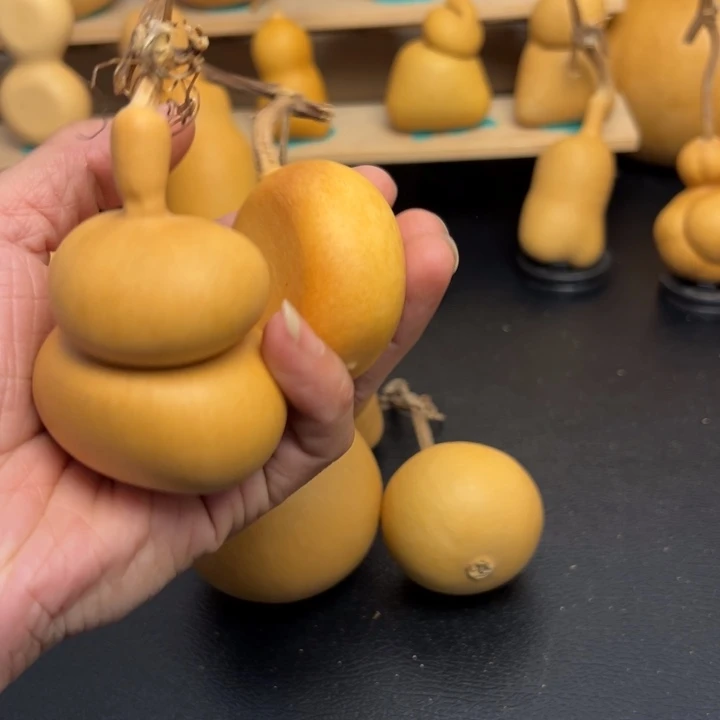 葡****盖5336666666666655