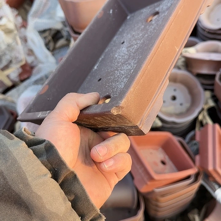 我想说我们也没见他说你没来就