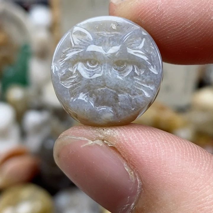 硅化珊瑚（珊瑚玉）未镶嵌颈饰小