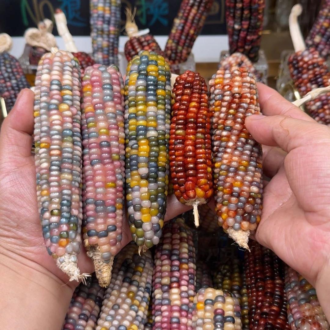 柏香籽/百香籽吊坠紫**雨