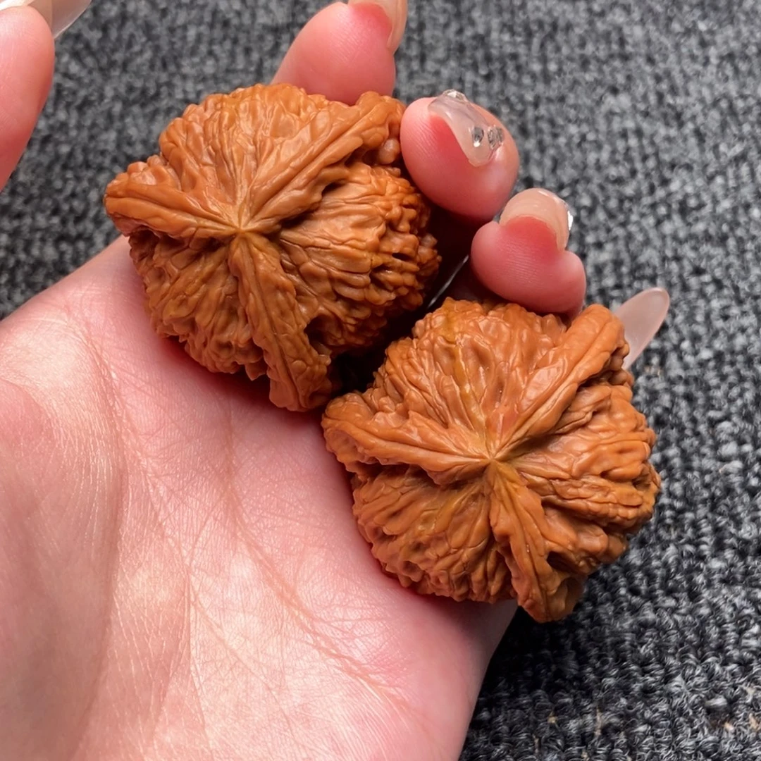 一***下木质类白狮子正奔