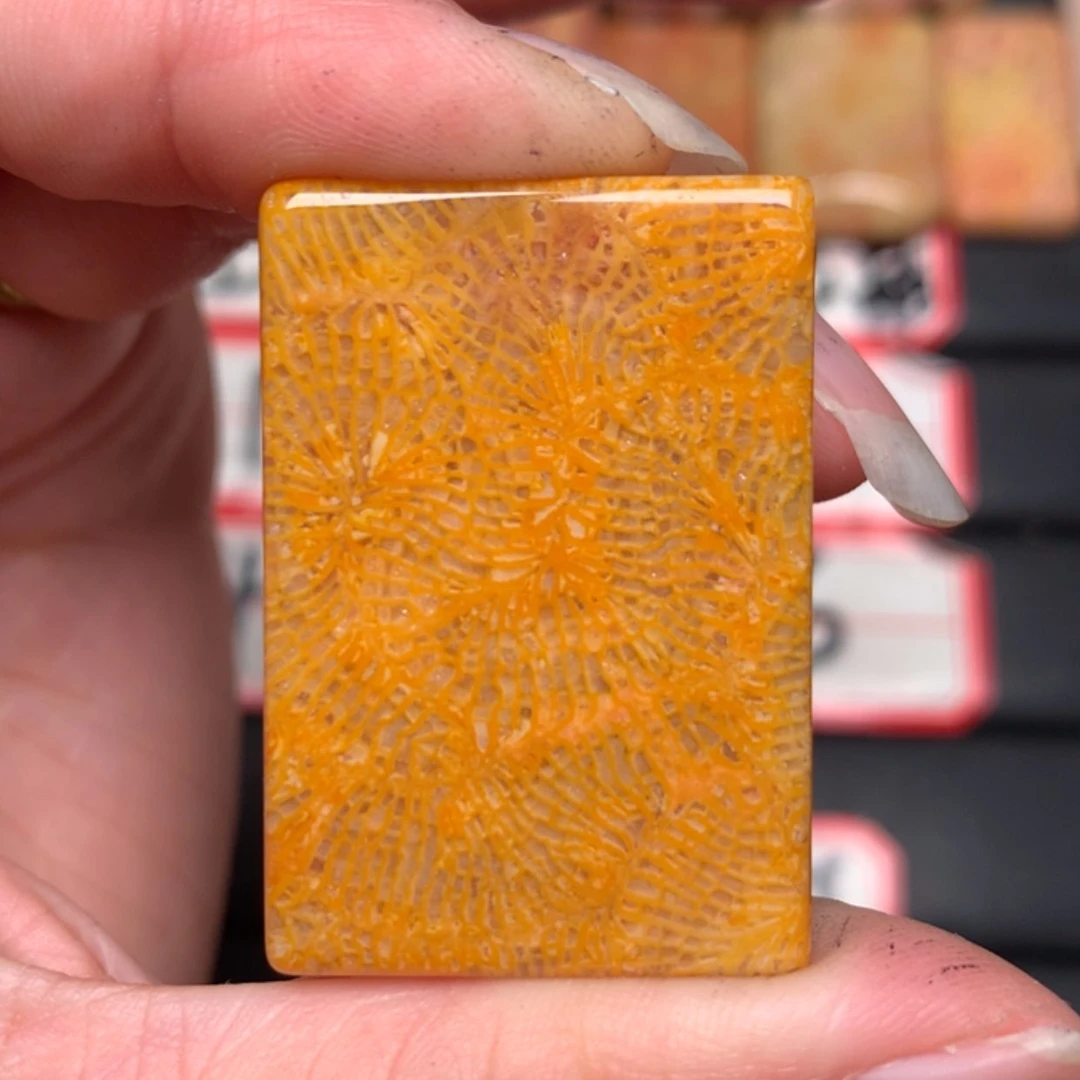 【闪购商品】硅化玉颈饰未镶嵌锦**多