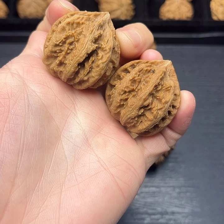 核桃秦岭突突突突突