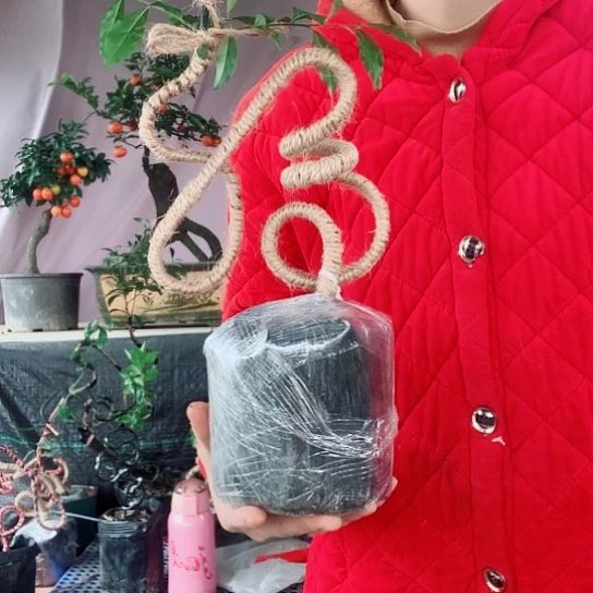 无花朵金弹子福字。