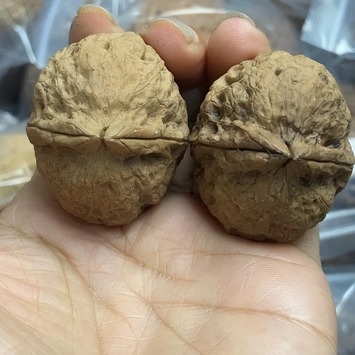 文玩核桃把件云南铁核桃基地43