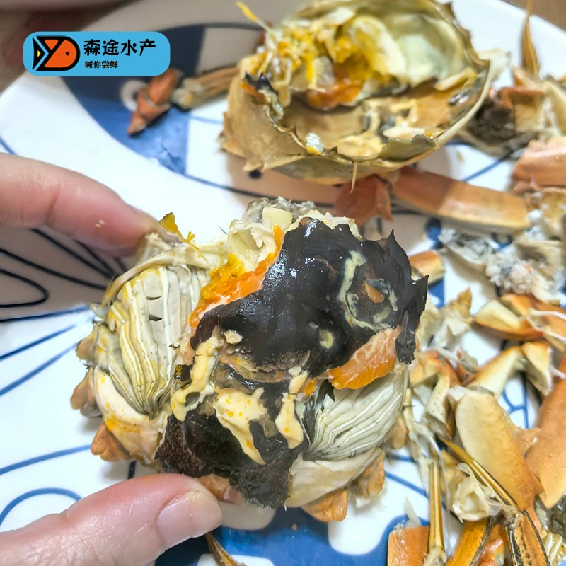 【活蟹】鲜级佳黄河口大闸蟹母蟹2.0-2.3两10只装 88688专属链接