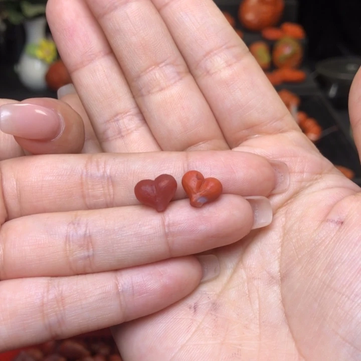 南红玛瑙未镶嵌吊坠(不含链)