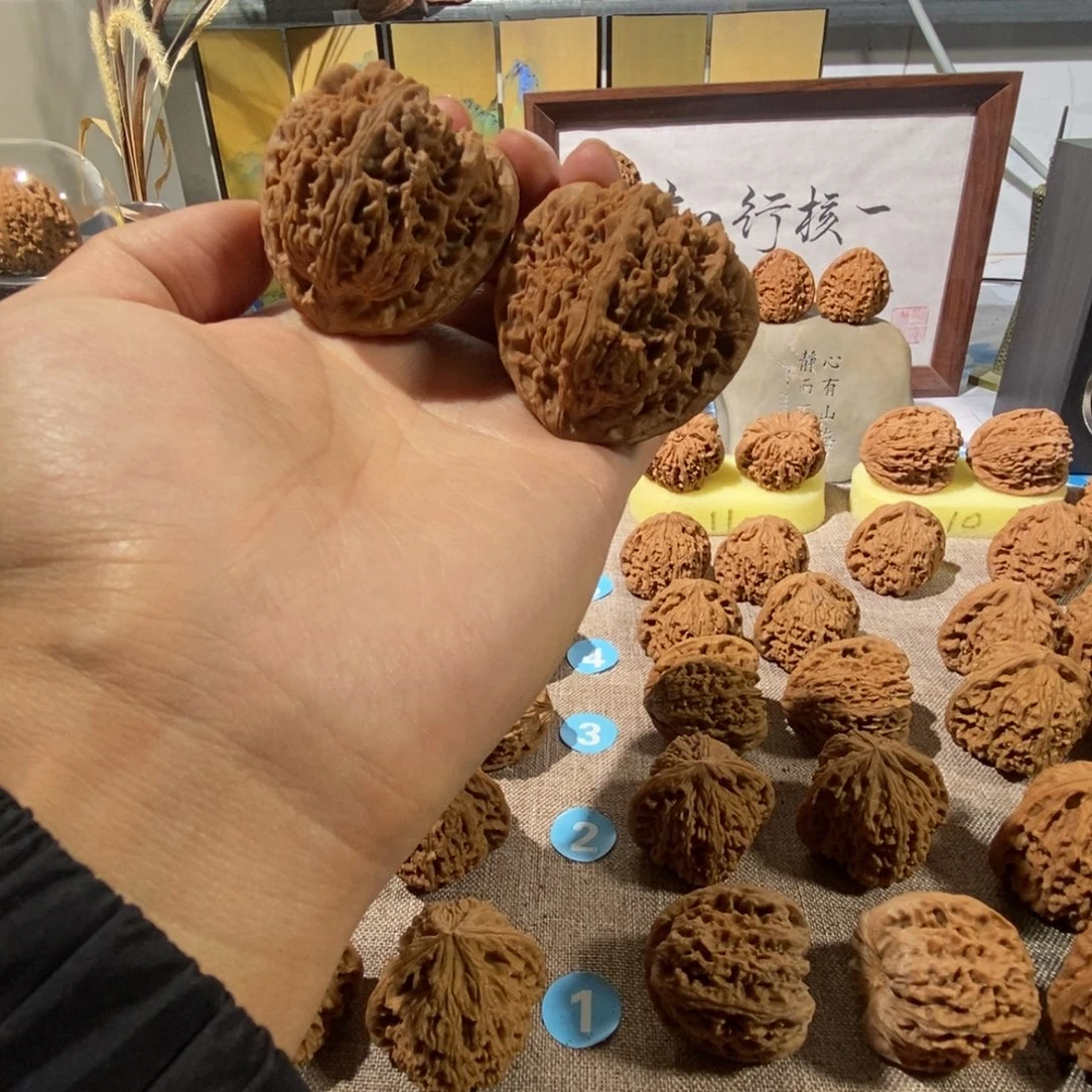 木质类46一代南疆三角
