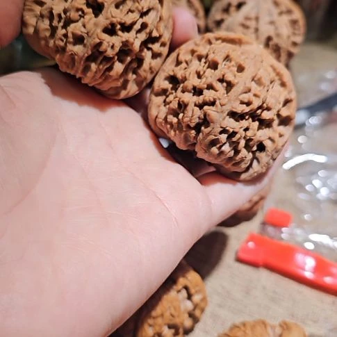 飛***哥文玩核桃吊坠47南疆