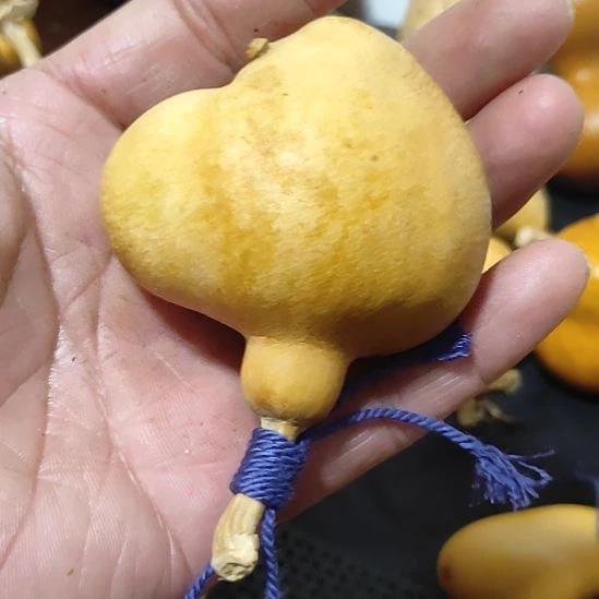 女***猫哈喽哈哈哈哈哈哈哈