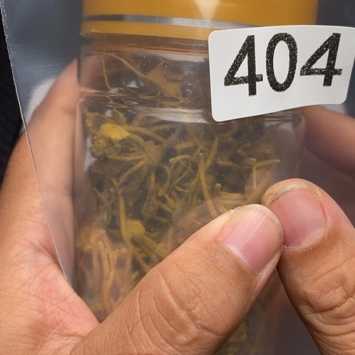 科檀（科特迪瓦檀木）