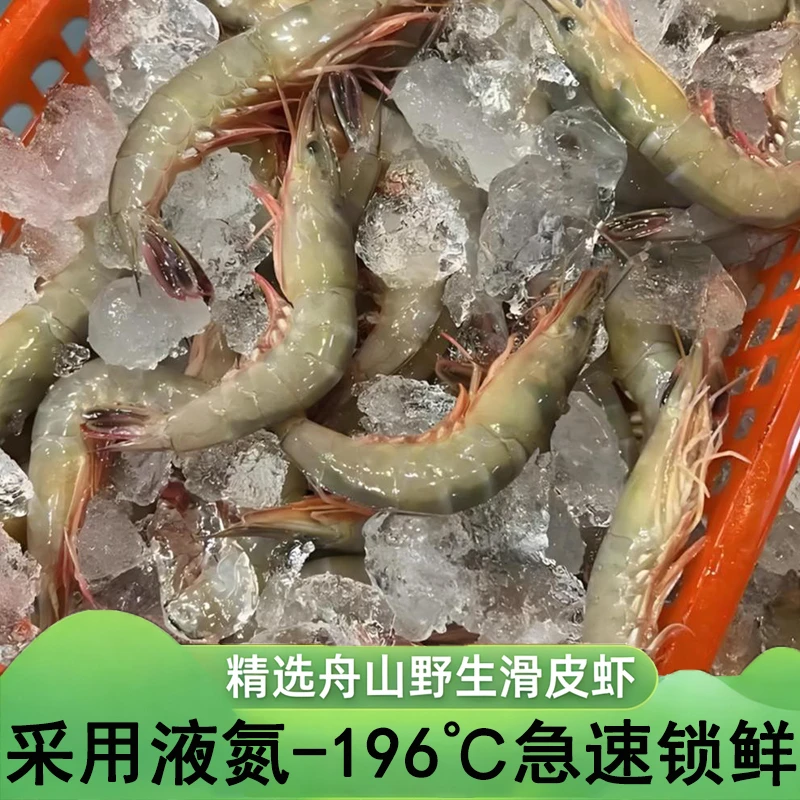 【阿儿海鲜】舟山滑皮虾条虾新鲜野生硬壳海虾速冻虾水产250g/盒