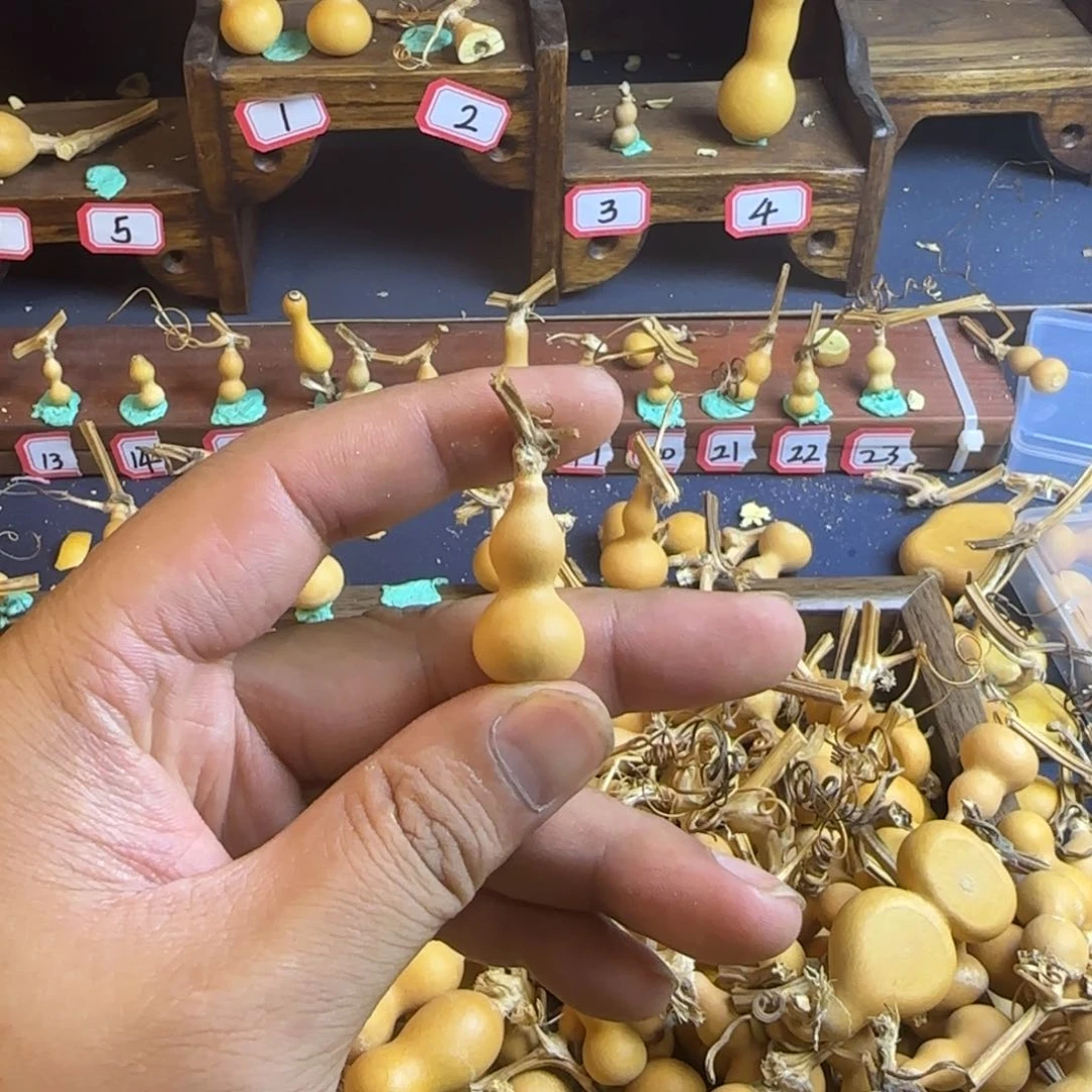四**毛我也是很喜欢这个节目的呢