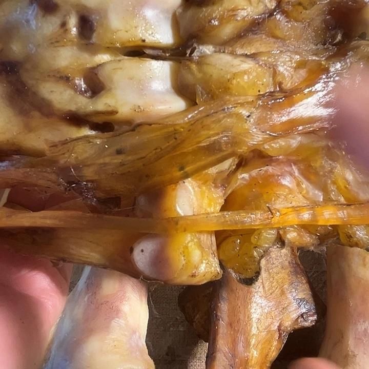 y***Lzxhu整个带筋一半大