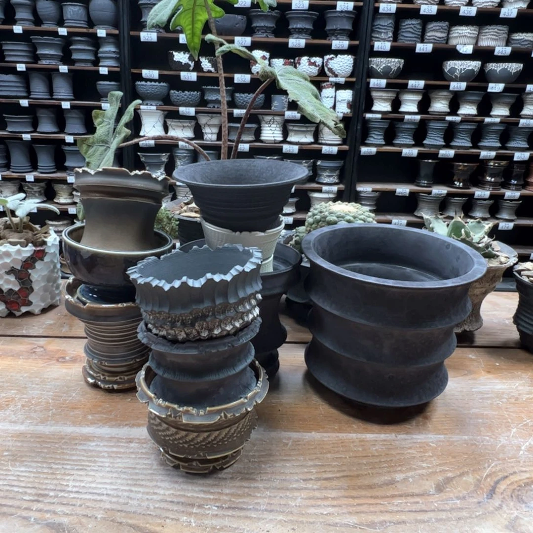 素八九陶瓷内口盲盒