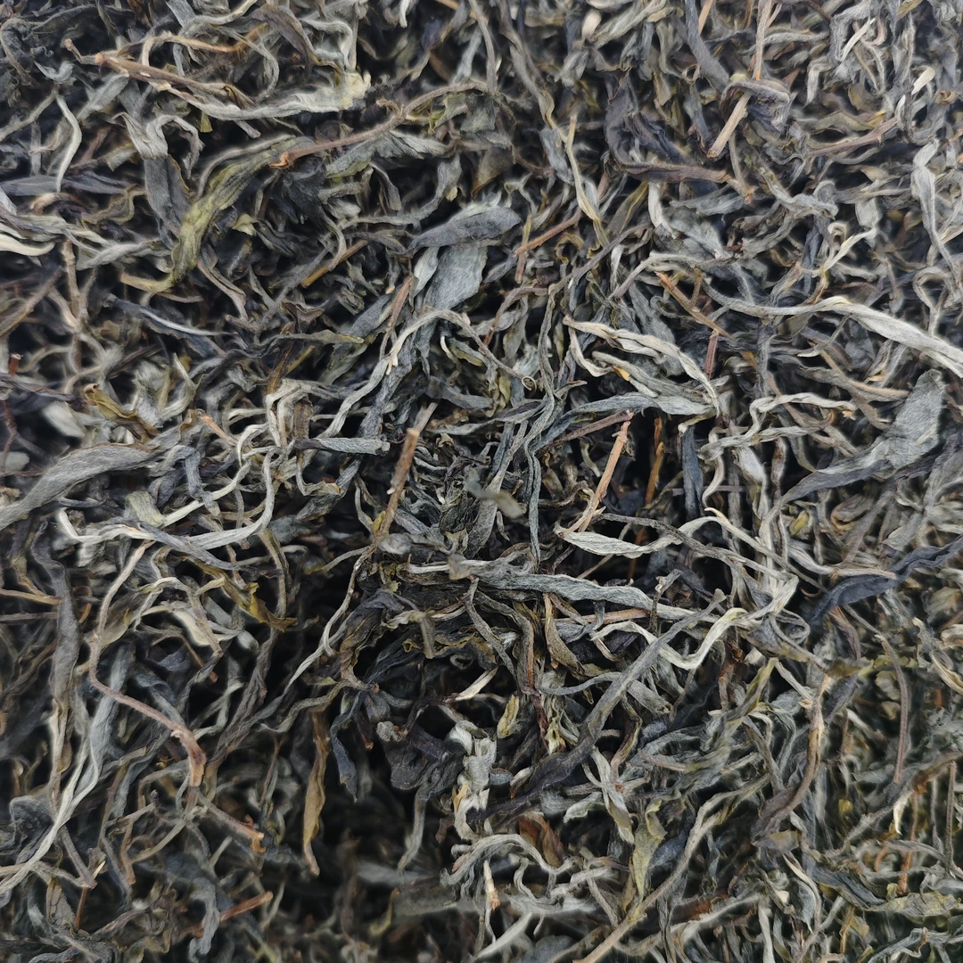 【茶农直供】2025年倚邦受罪垭口古树云南普洱茶 生茶 、散茶