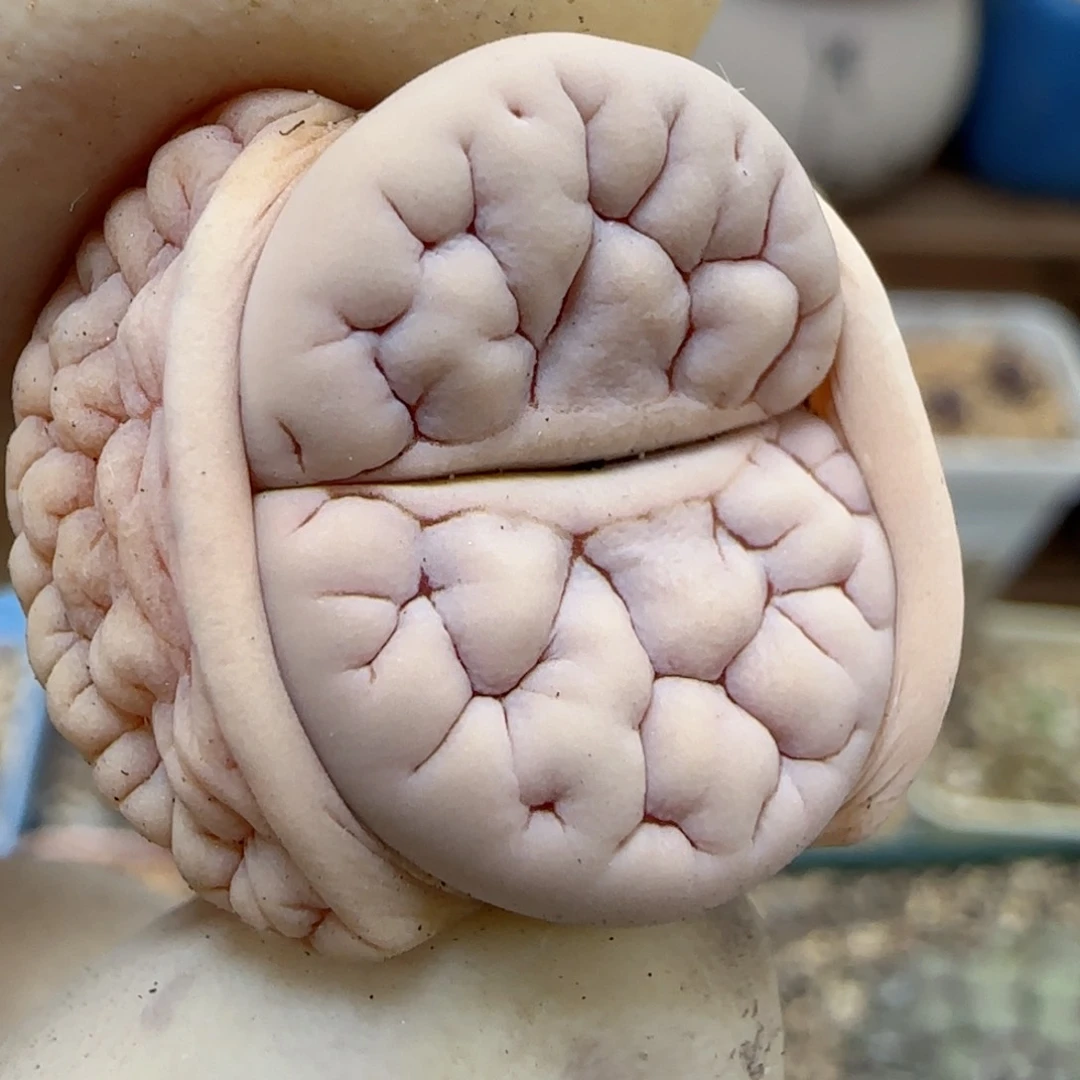 444福利福利福利