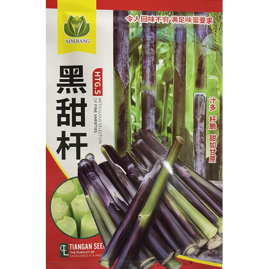 黑甜杆种子黑皮甜高粱黑北方黑籽甜杆种子甘蔗黑色紫皮甜杆种子
