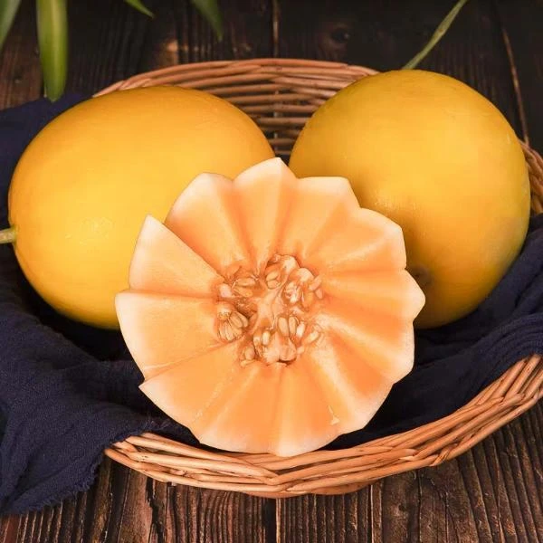 【陇小胖】甘肃民勤蜜瓜沙漠蜜瓜新鲜当季水果脆香多汁