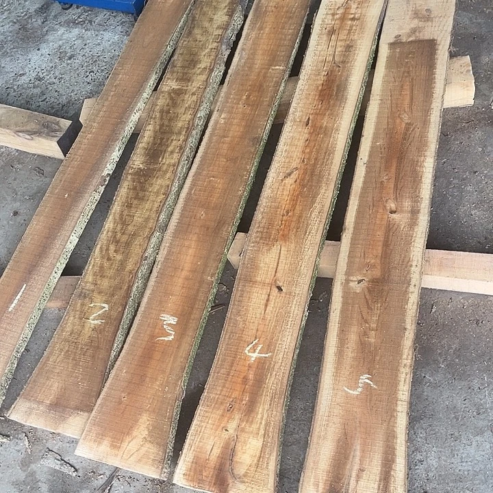 小叶桢楠板料毛料五张