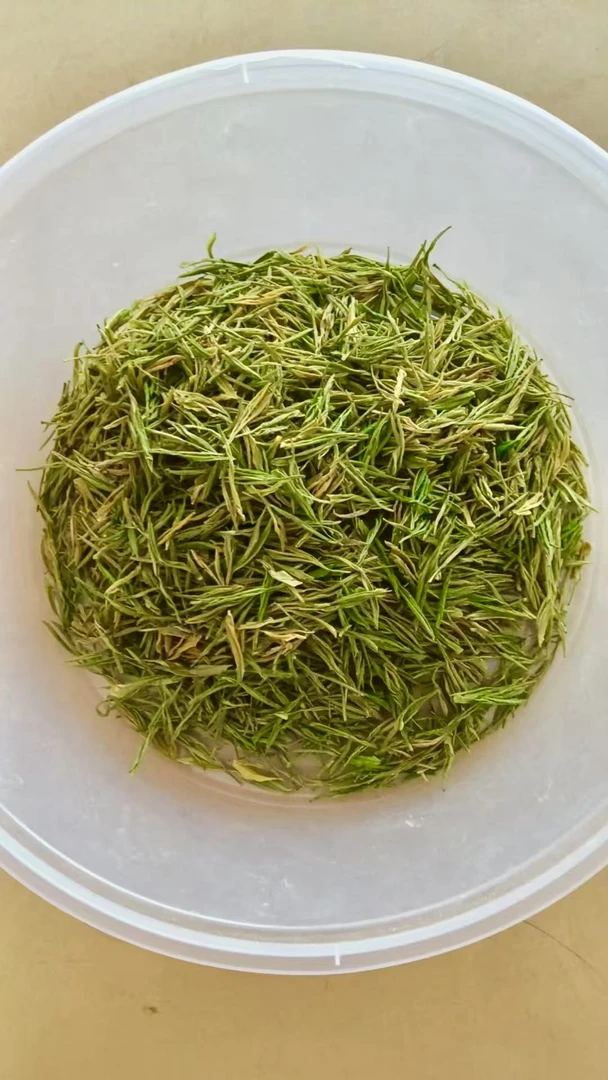 黄金芽奶白茶潜山塔畈