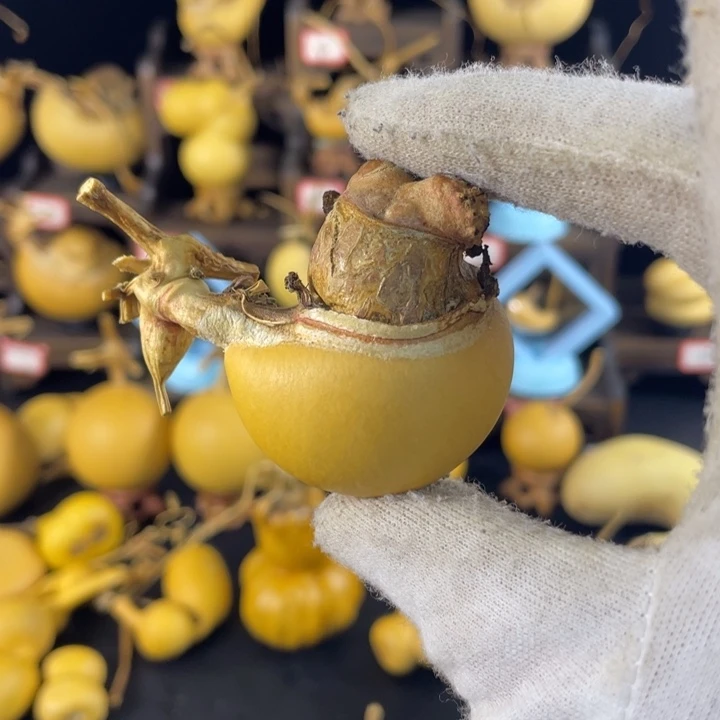 *****葫芦文玩手把一个