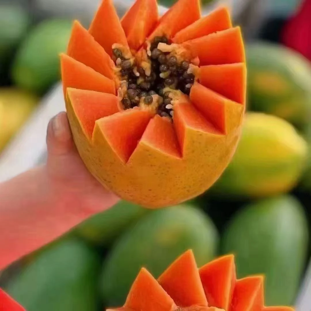 云南西双版纳高山红心牛奶木瓜