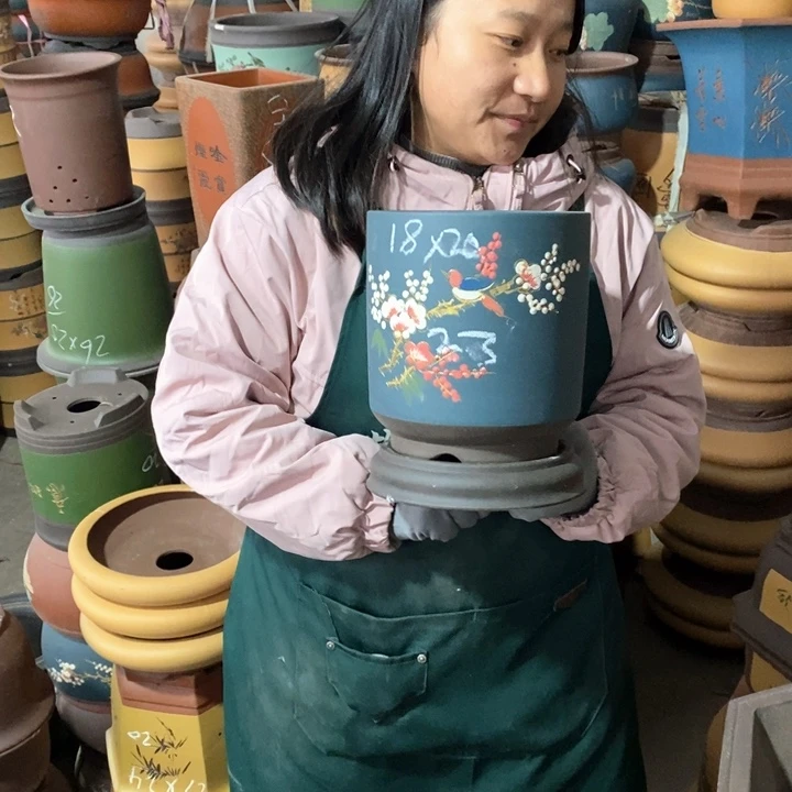 紫砂花盆盆栽花卉苗木种植