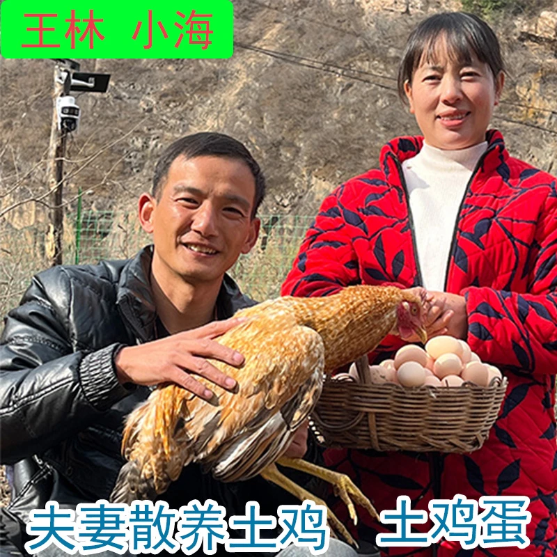 王琳小海散养土鸡蛋农家正宗五谷杂粮笨鸡蛋