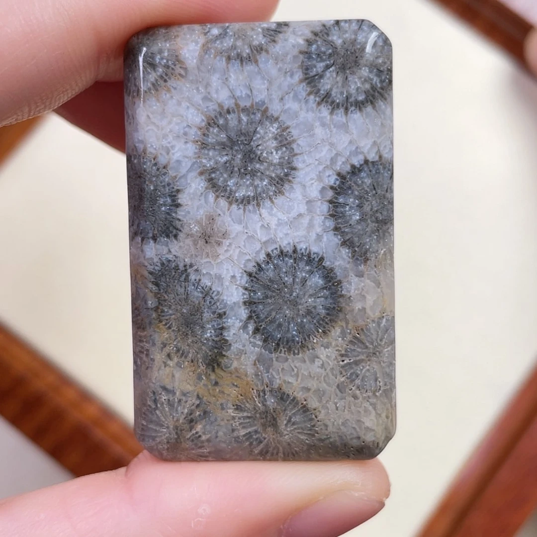 【闪购商品】硅化玉吊坠(赠链)未镶嵌