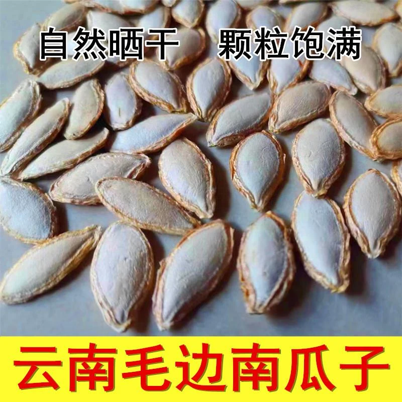 云南毛边生南瓜子大粒饱满农家自种原味老品种南瓜籽