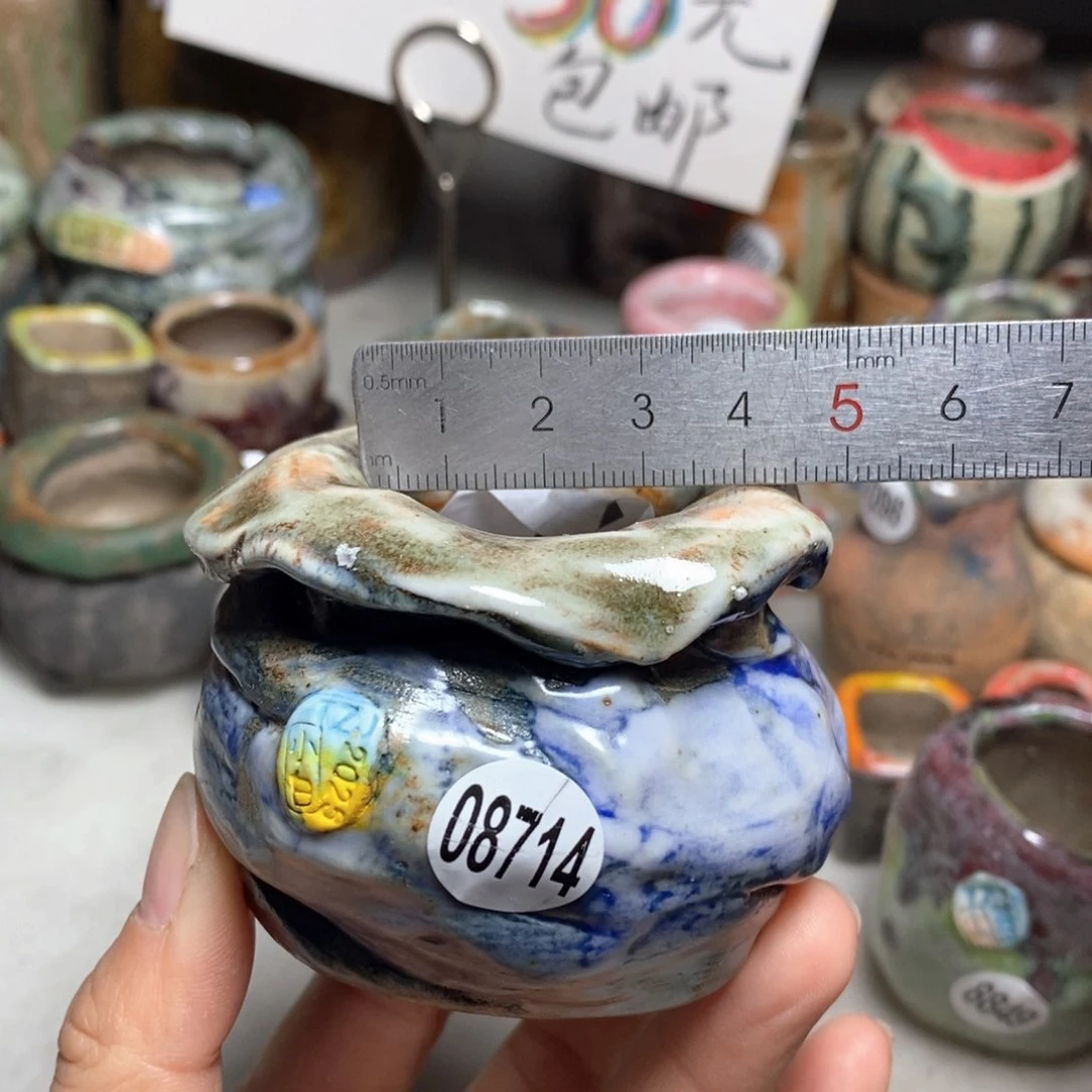 花盆拍1送一个小礼物