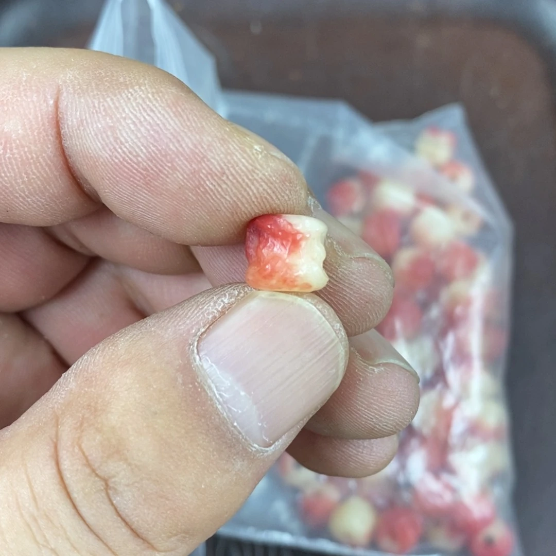 手串/手链驼骨配饰四十