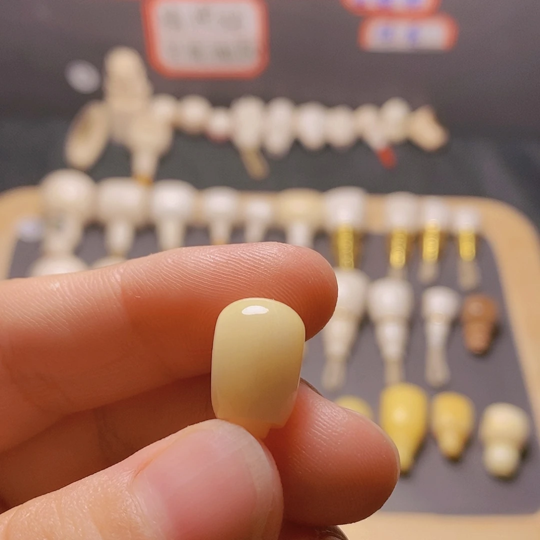 m****猛犸999999999999999999999