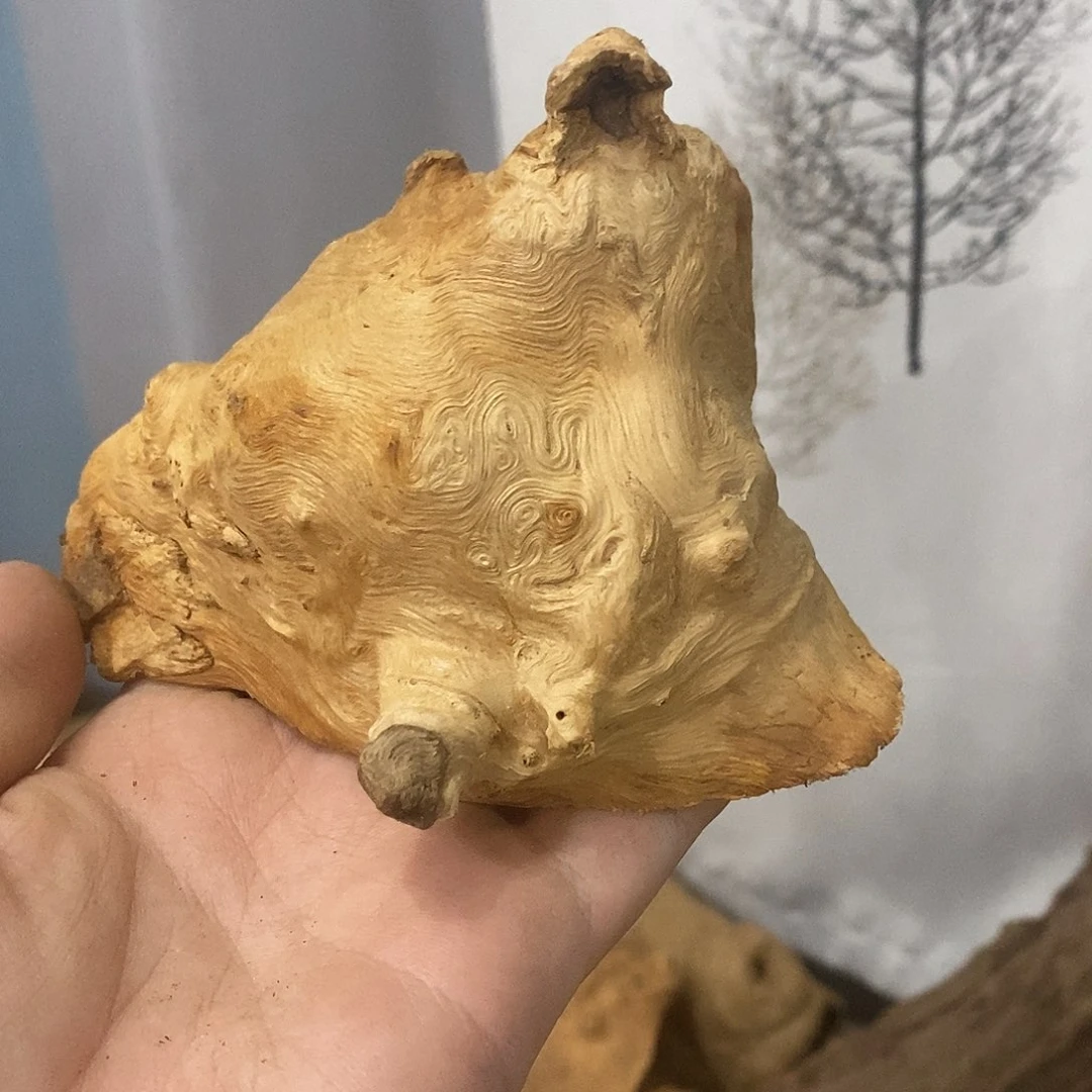文***产荔枝木荔枝木香炉