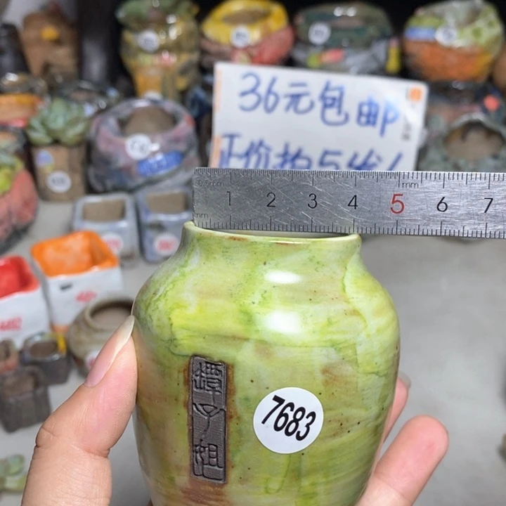 拍3送一个小礼物
