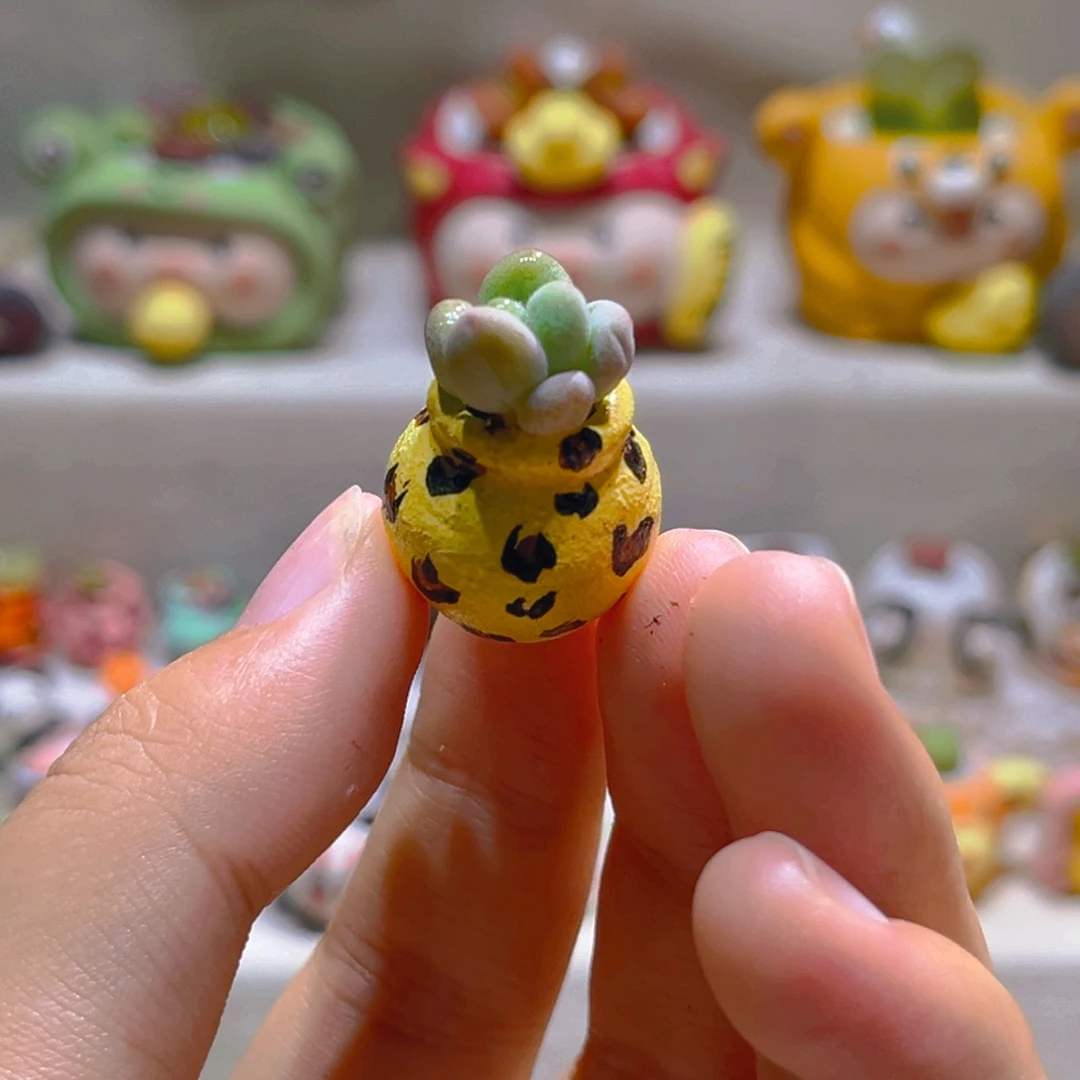 061草莓汤圆带盆带土手工盆
