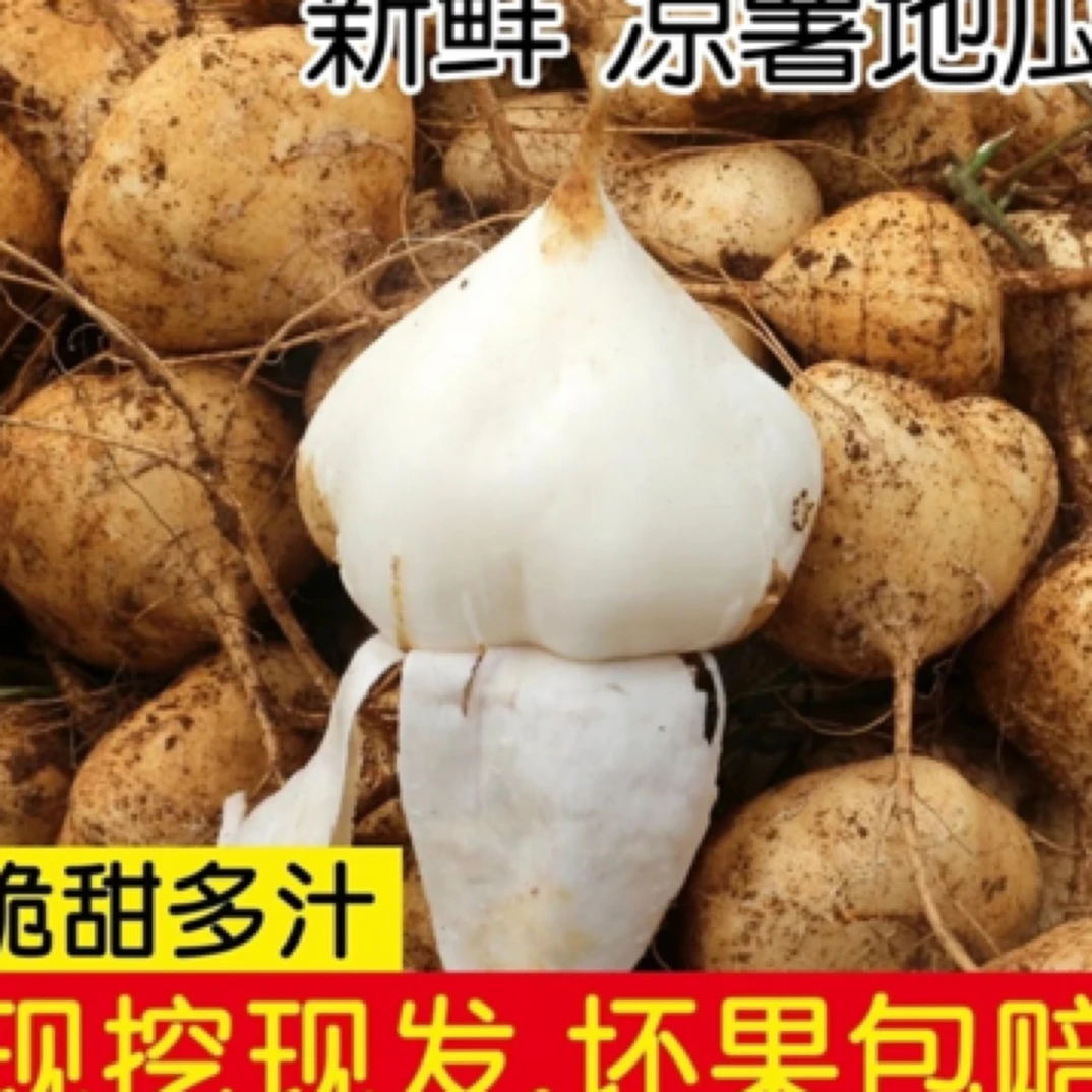 优【应季蔬菜】农家自产自销营养美味