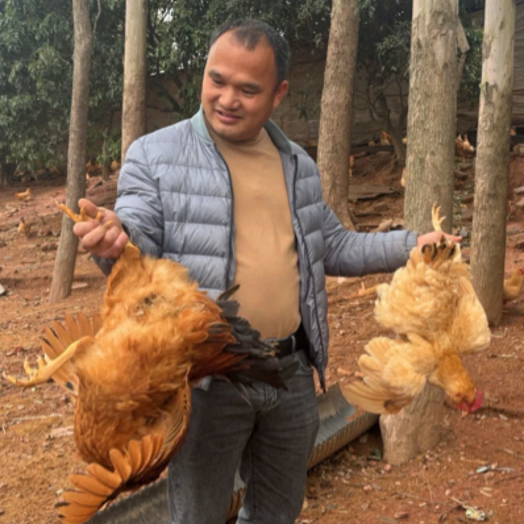 河源-惠州农家胡须鸡一公一母7斤正宗土鸡