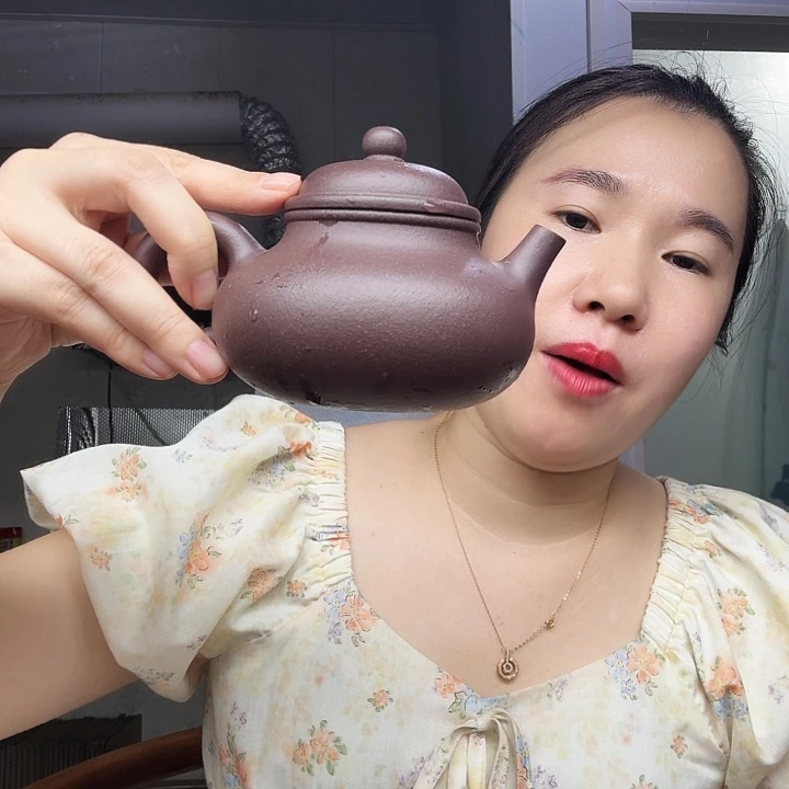 茶壶紫砂原矿半手工天青容天320cc