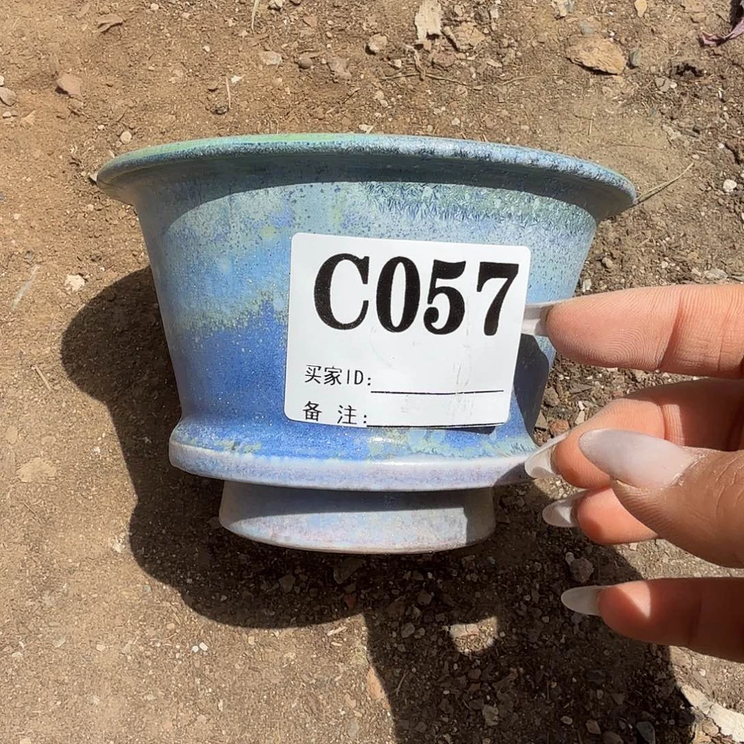 057号花盆多肉植物