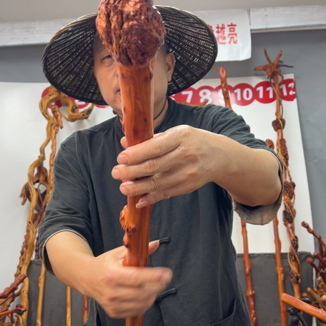 黑果木其他黑果木534