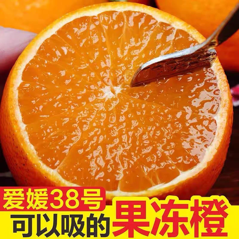 王健眉山爱媛38号果冻橙现摘现发皮薄多汁甜蜜化渣