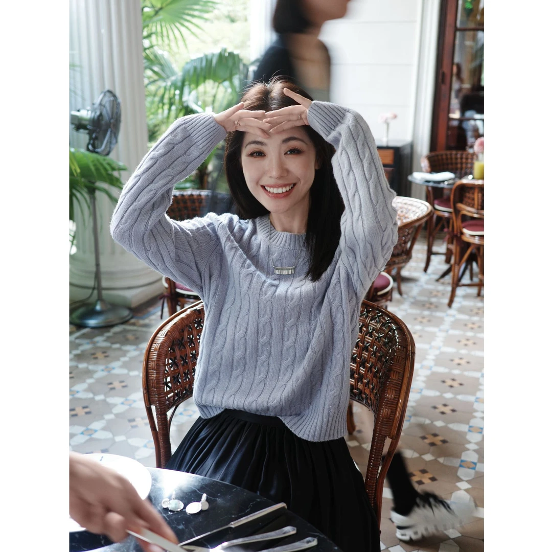 YiN 山羊绒绵羊毛绞花圆领套头百搭气质长袖Y24176