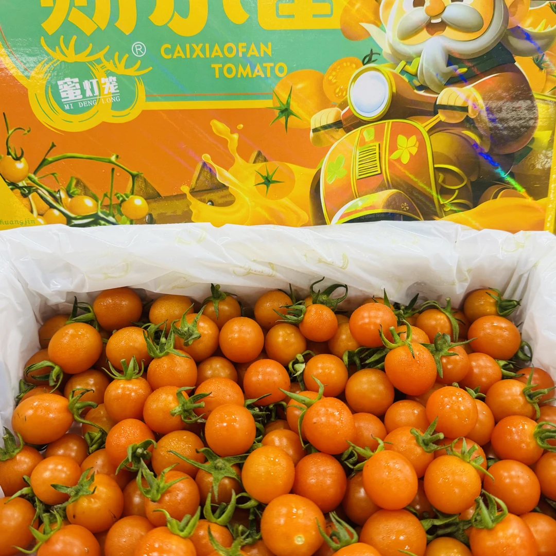 蜜灯笼小番茄2斤