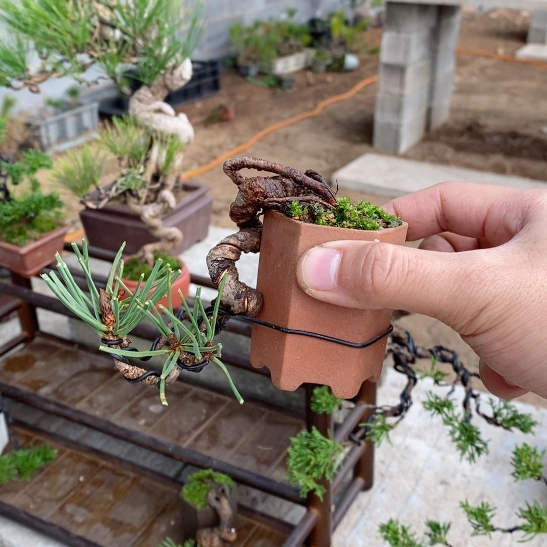 手工艺品琉璃刘*