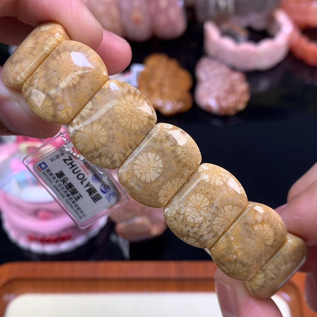 【闪购商品】颈饰未镶嵌硅化珊瑚（珊瑚玉）9号金皮大花好绝