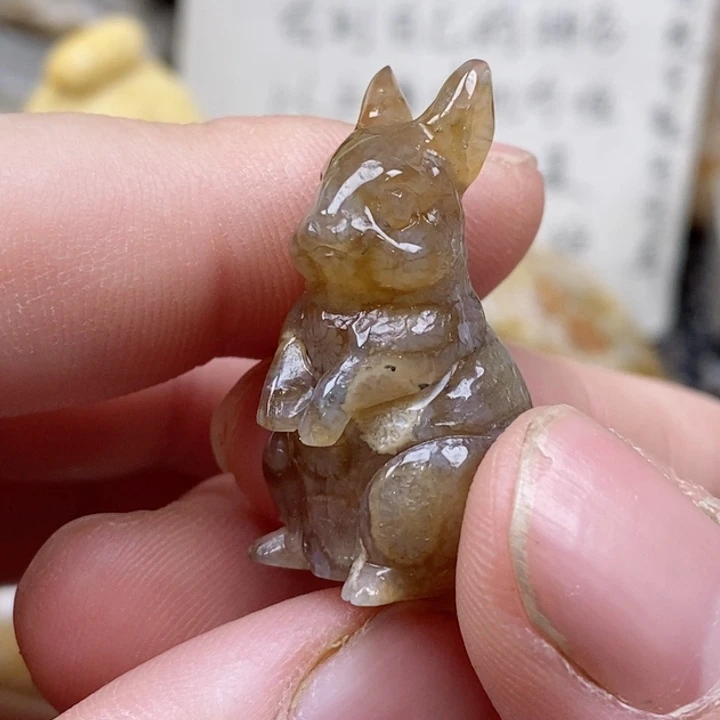 颈饰未镶嵌硅化珊瑚（珊瑚玉）小