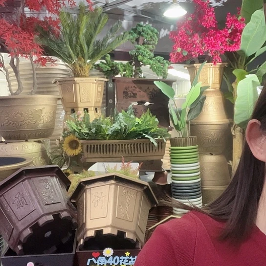 复合盆景886685698