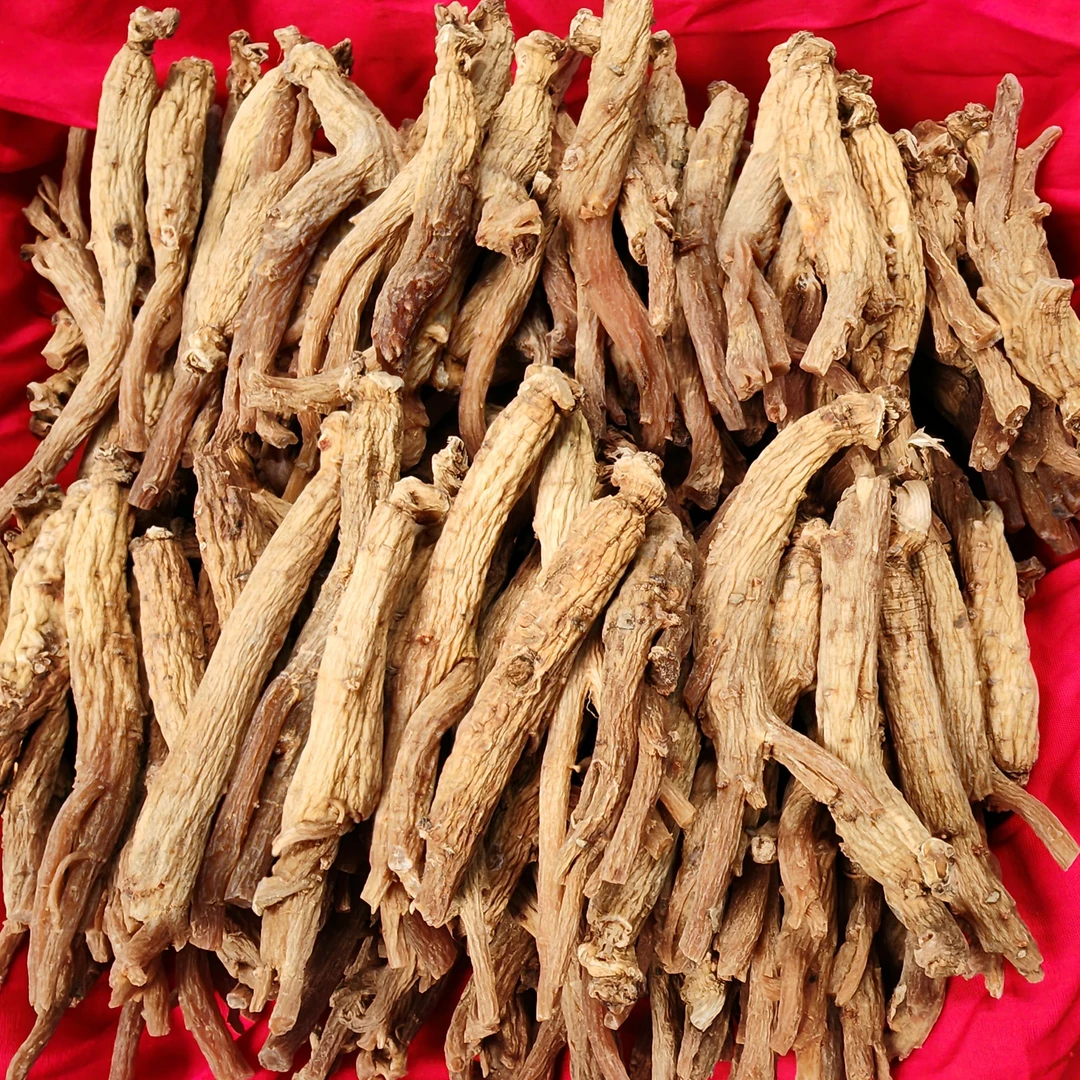 【阿丹臻品】老山参  农家土特产 可搭配西洋参
